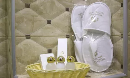 هتل نیپول تفلیس هتل نیپول تفلیس